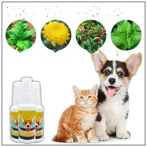 Pet Potty Training Spray (Buy 1 Get 1 Free)