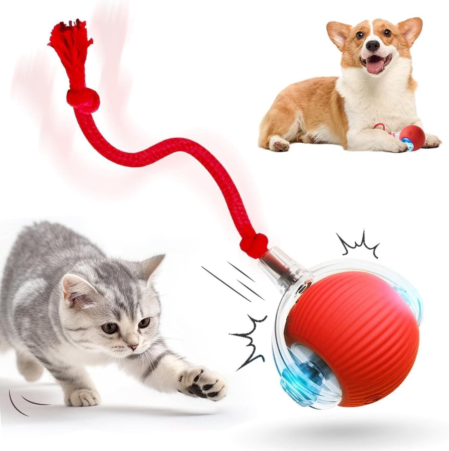 Interactive Pets Ball Toy