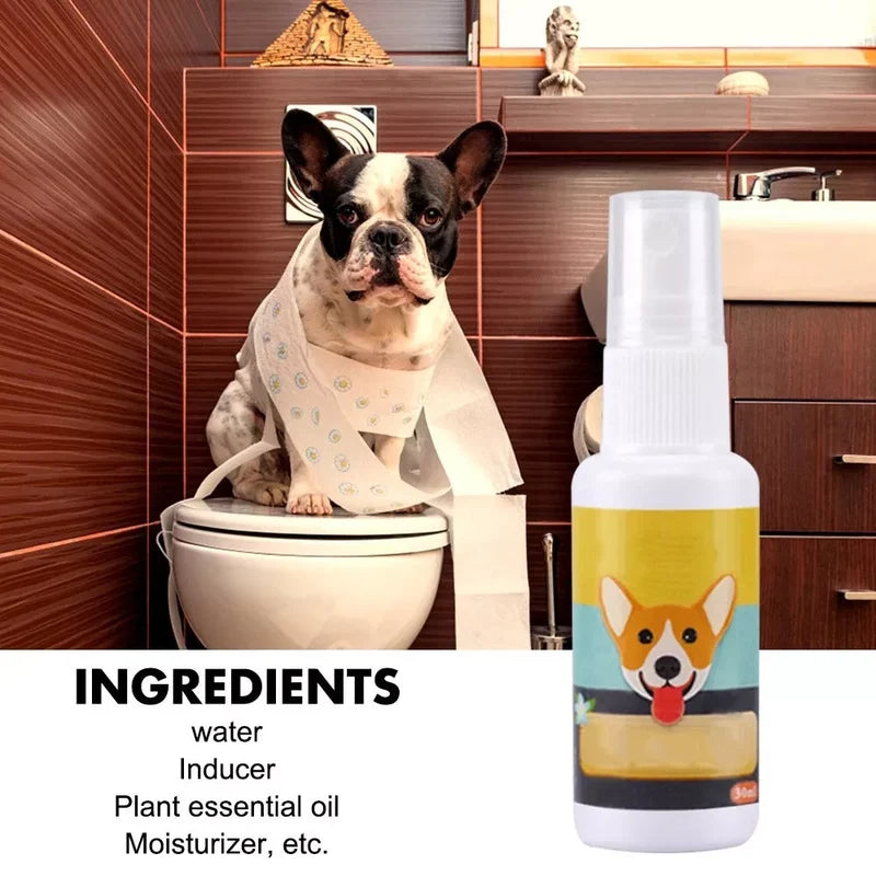 Pet Potty Training Spray (Buy 1 Get 1 Free)