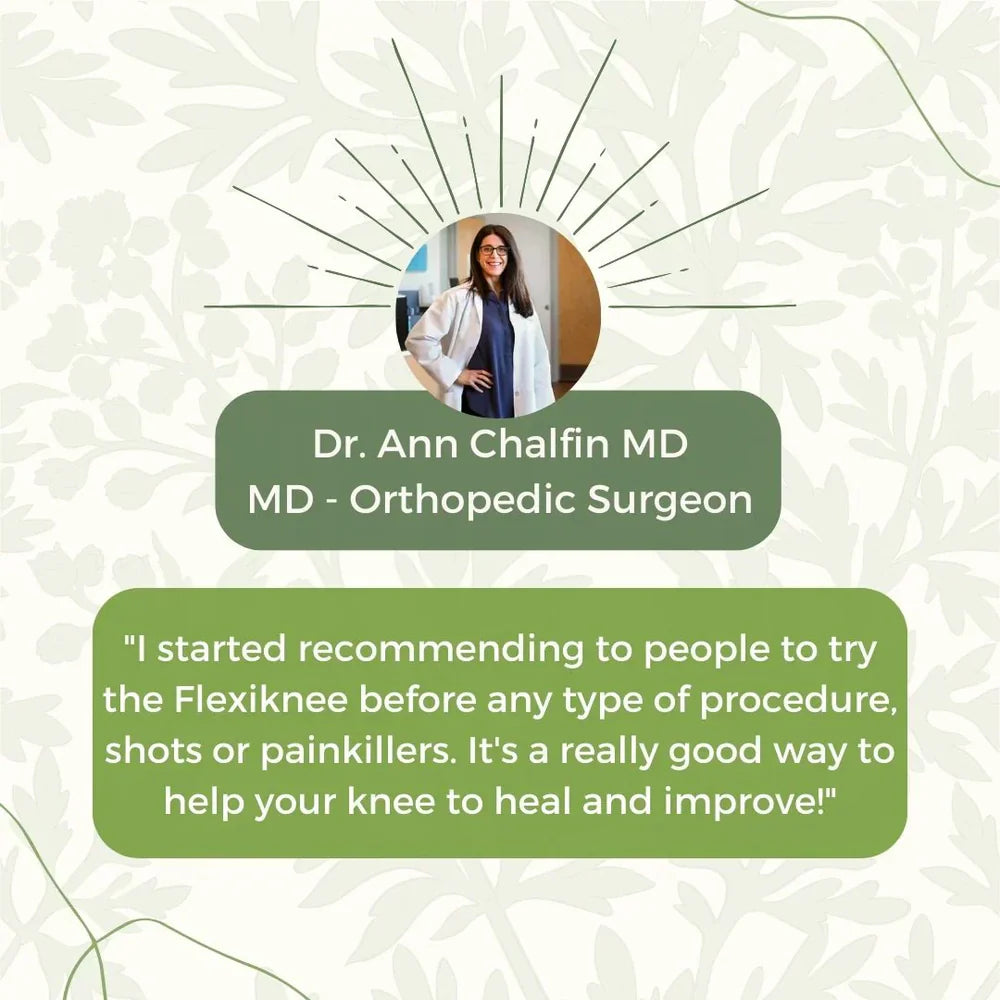 Herbal Knee Patch Extract Joint Ache Pain (12pcs/bag)