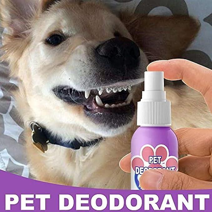 Teeth Cleaning Spray for Dogs & Cats