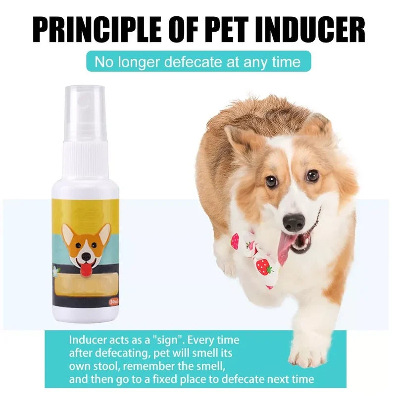 Pet Potty Training Spray (Buy 1 Get 1 Free)