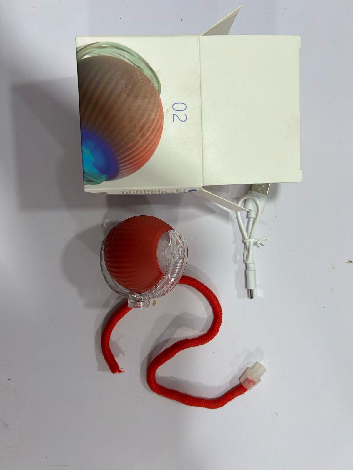 Interactive Pets Ball Toy