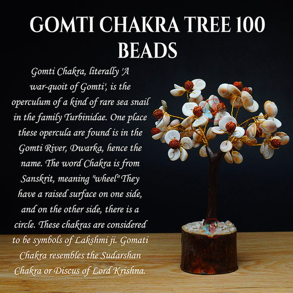 Gomati Chakra Tree with Rudraksham